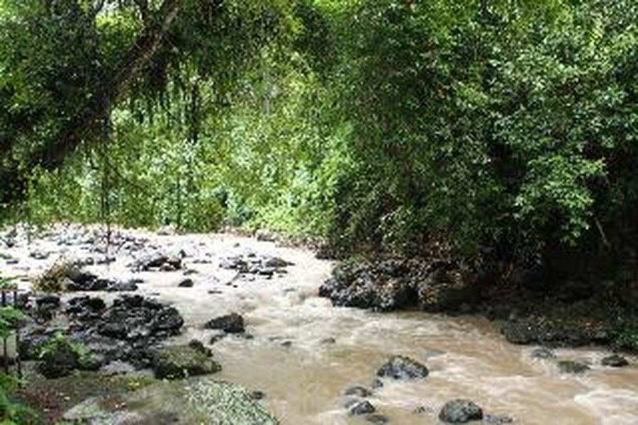 foto-2