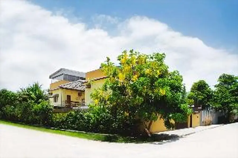 foto-1