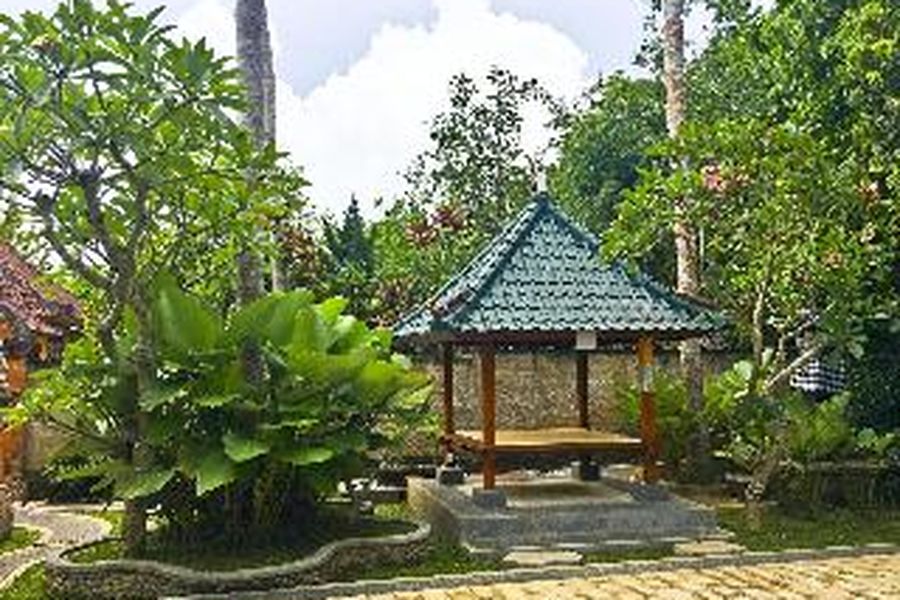 photo-3