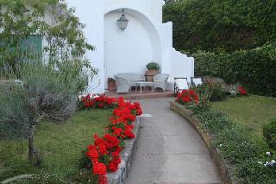 photo-1