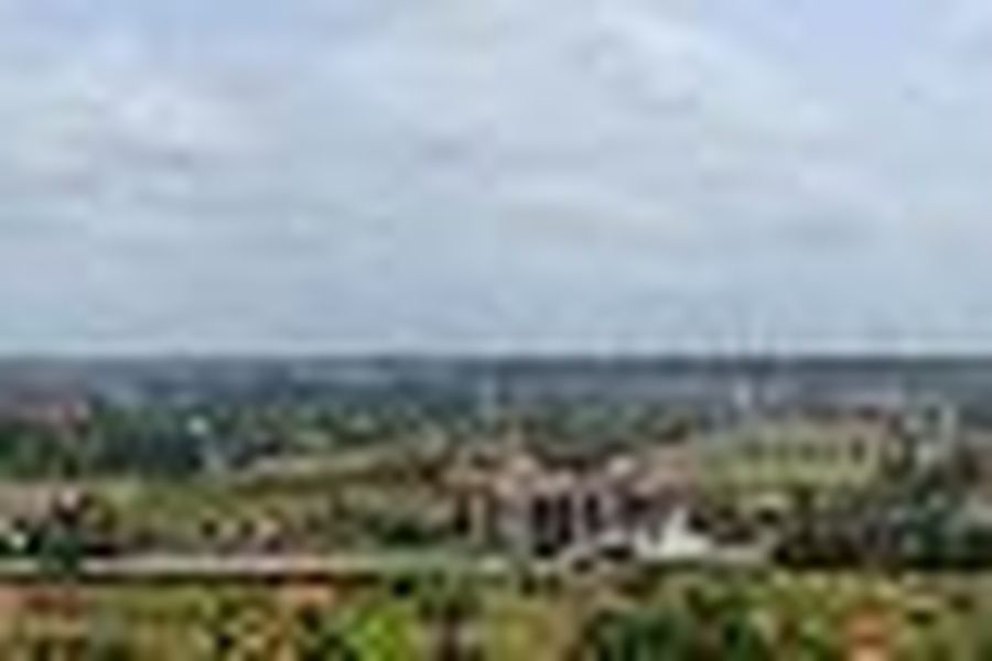 photo-1