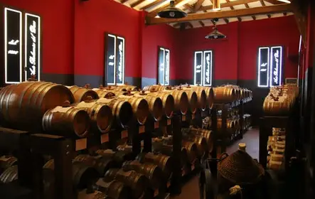 Tour de degustación de vinagre balsámico de Módena en Aceto Balsamico del Duca