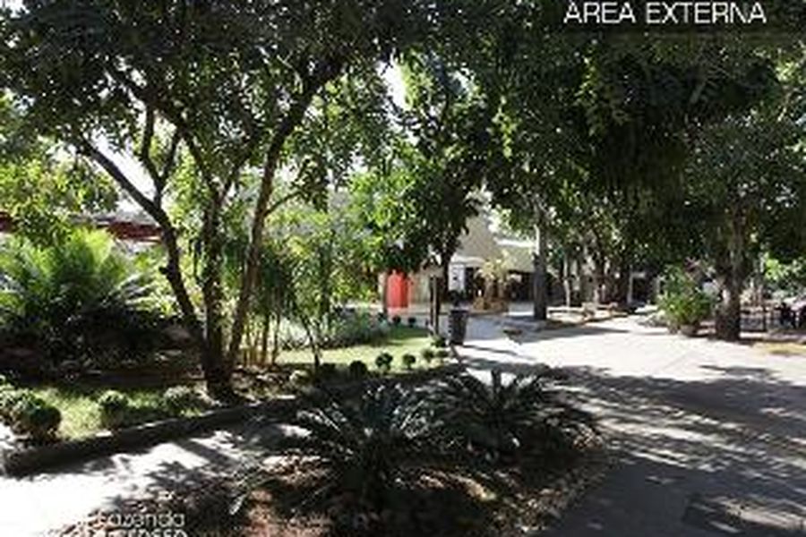 photo-2