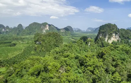 Aventuras de tirolesa em Krabi com rapel e escalada