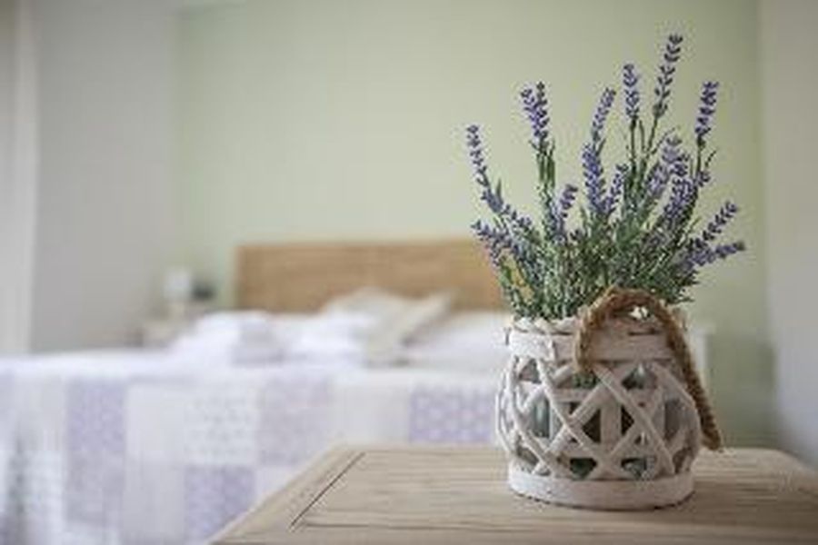 photo-3