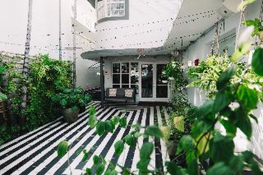 foto-2