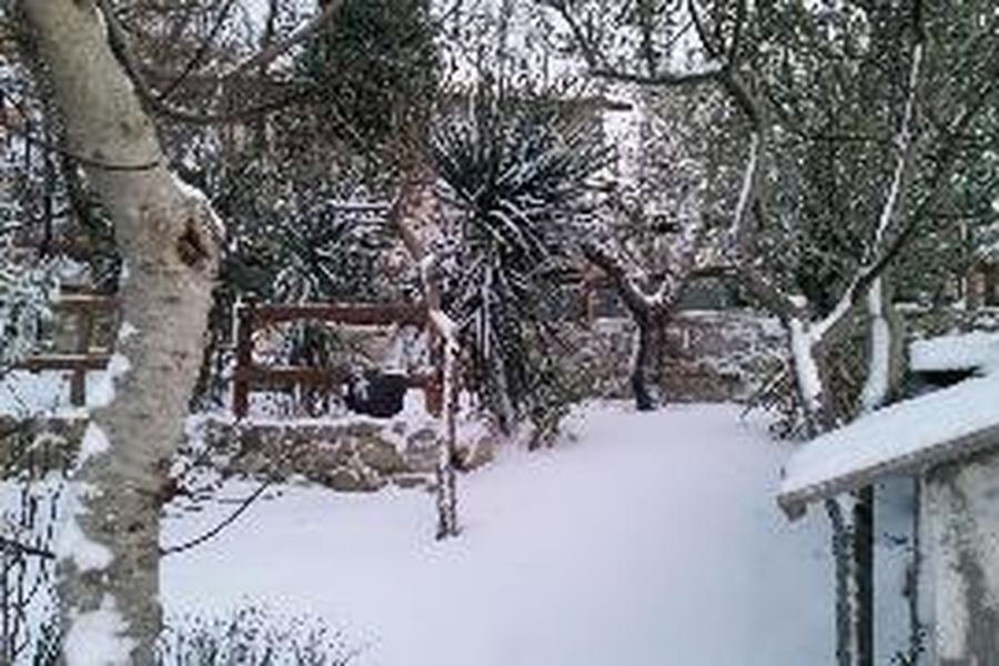 photo-1