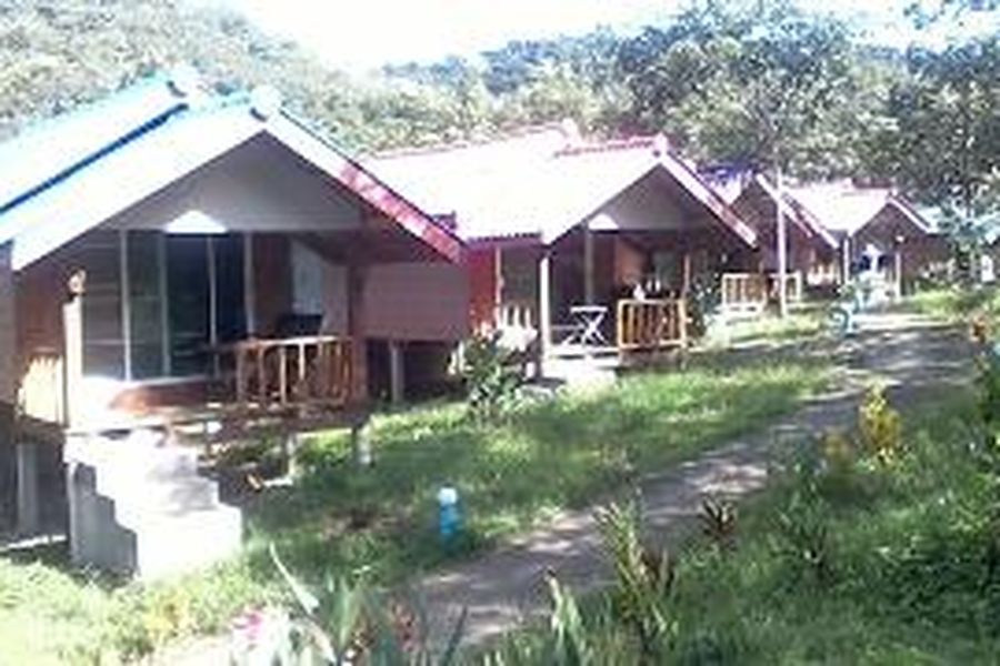 photo-1