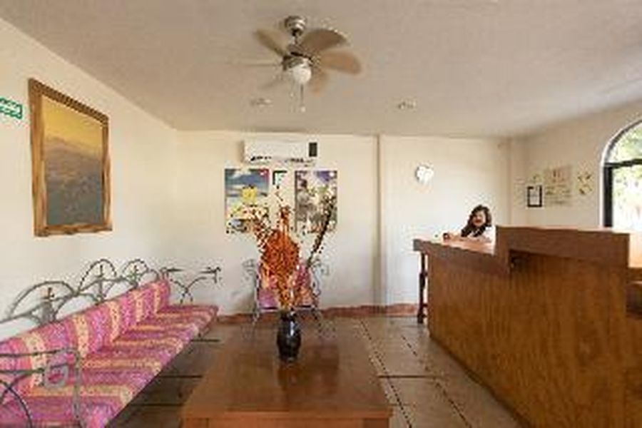 foto-1