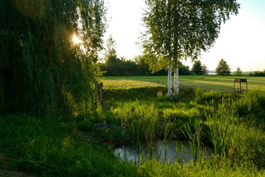 photo-3