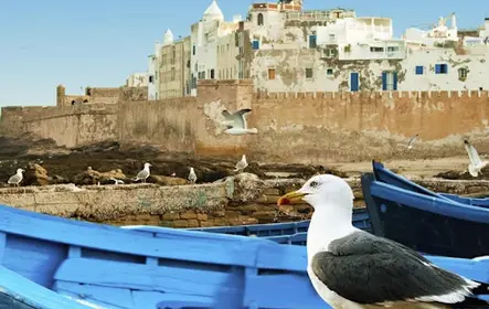 Essaouira: excursão guiada de um dia + embarque em Marrakech