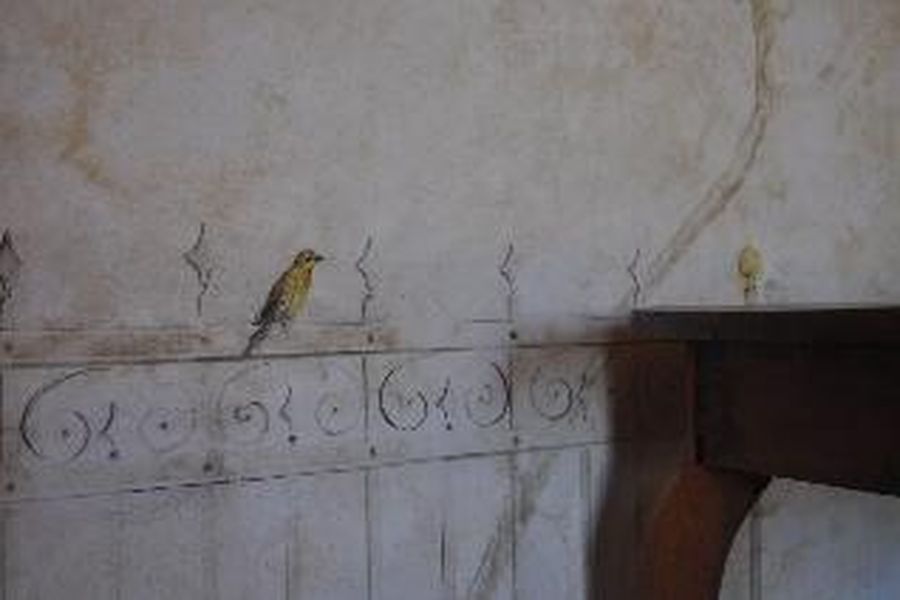 photo-1
