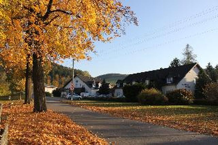 photo-1