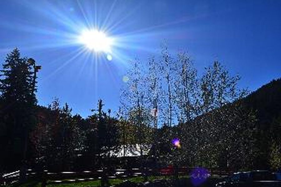 photo-1