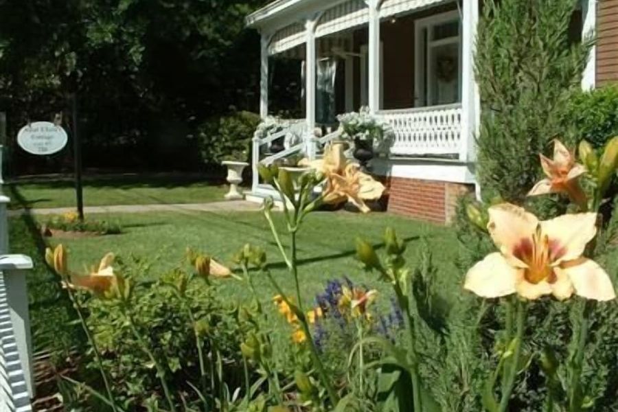 foto-3