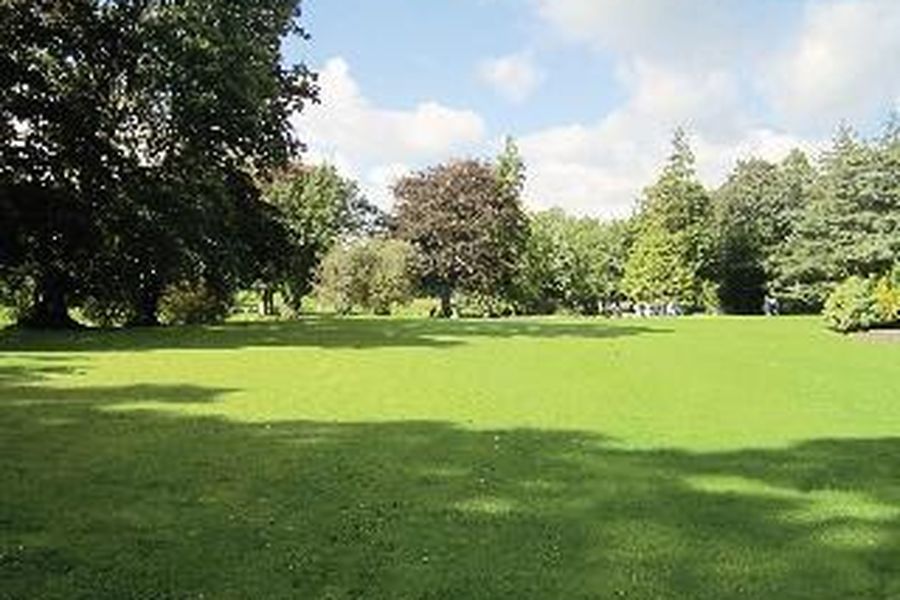 photo-3