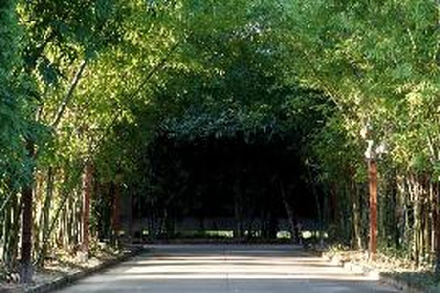 photo-0