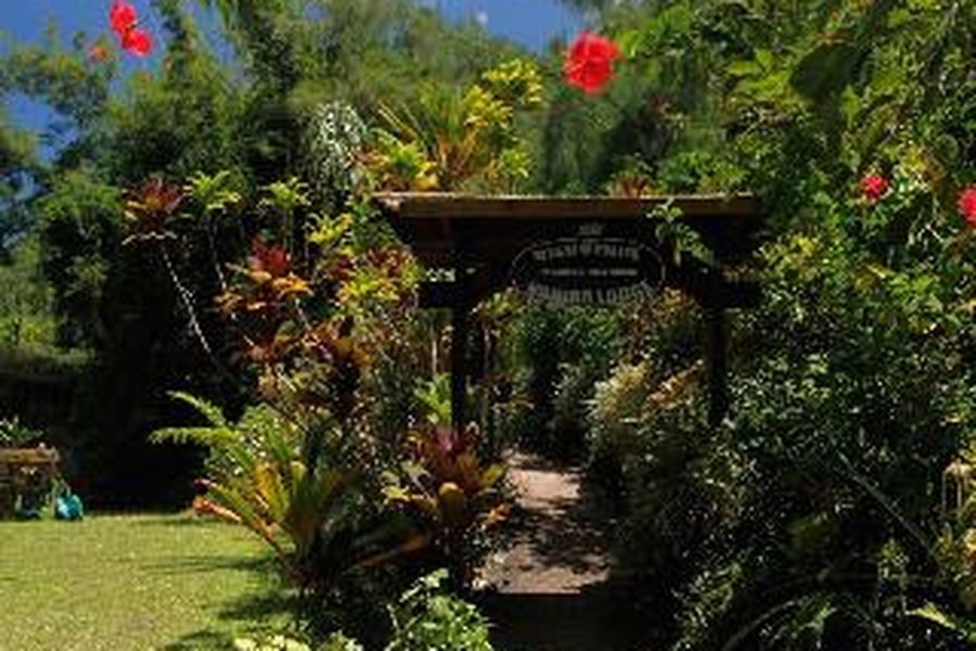foto-1
