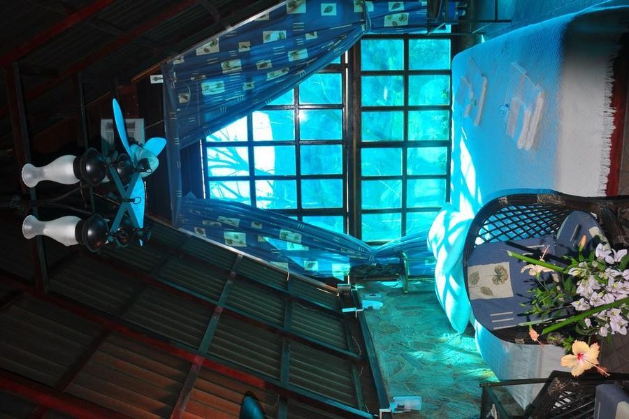 foto-2