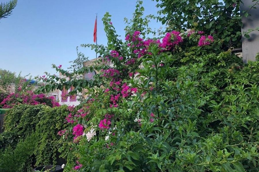 foto-2
