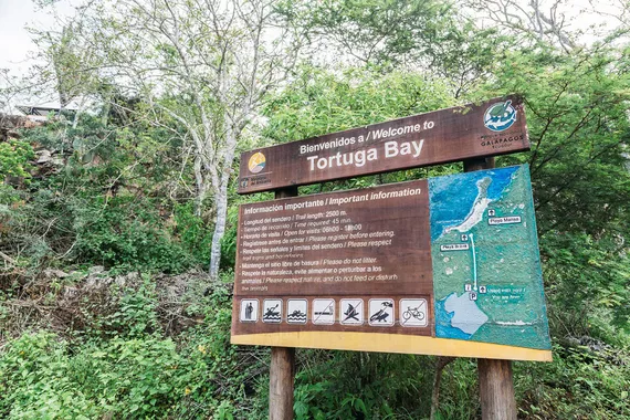 Playa Tortuga Bay