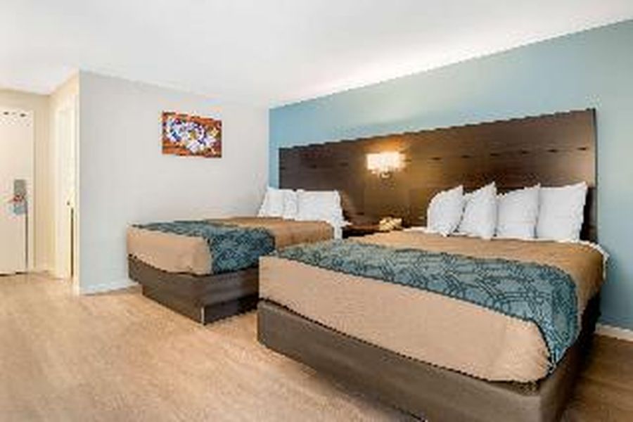foto-1
