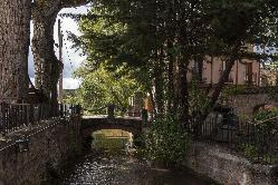 photo-1