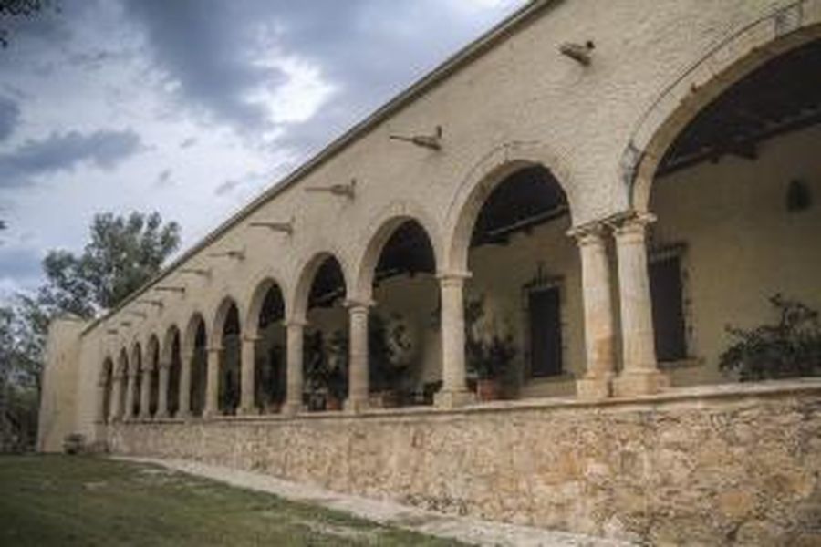 photo-3