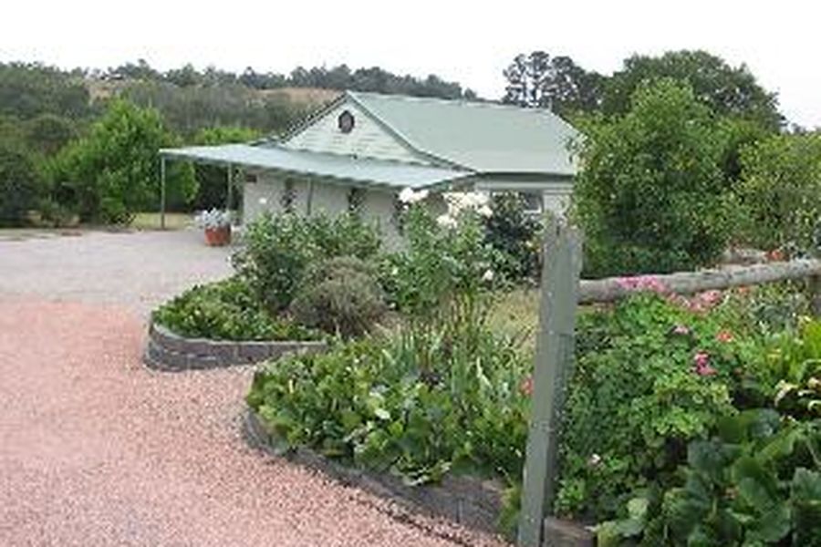 photo-3