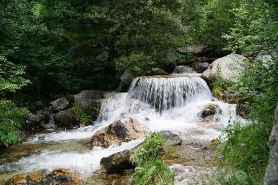 foto-1
