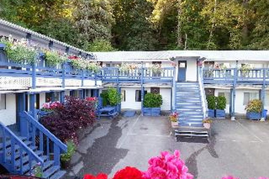 foto-3