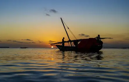 Cruzeiro Dhow ao pôr do sol em Zanzibar