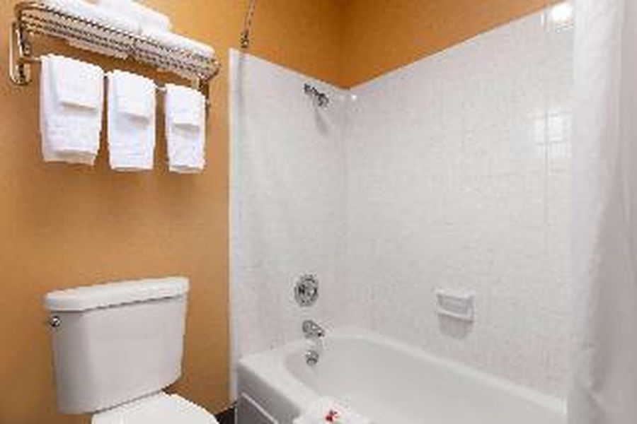 photo-3