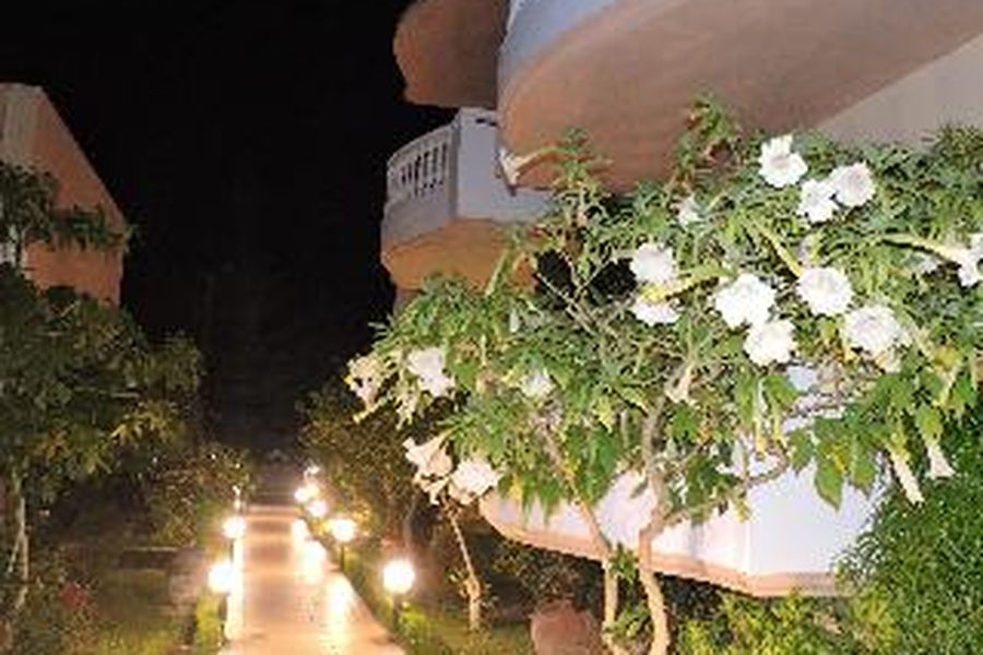 foto-1