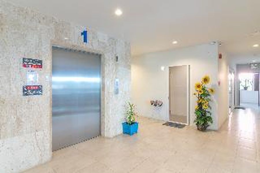 photo-3