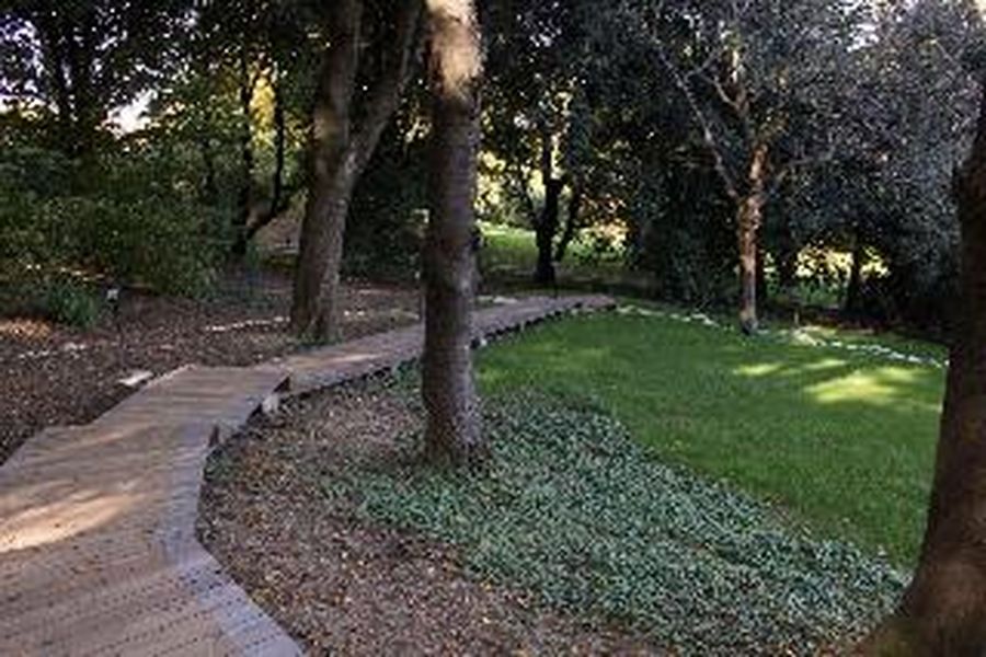 foto-1