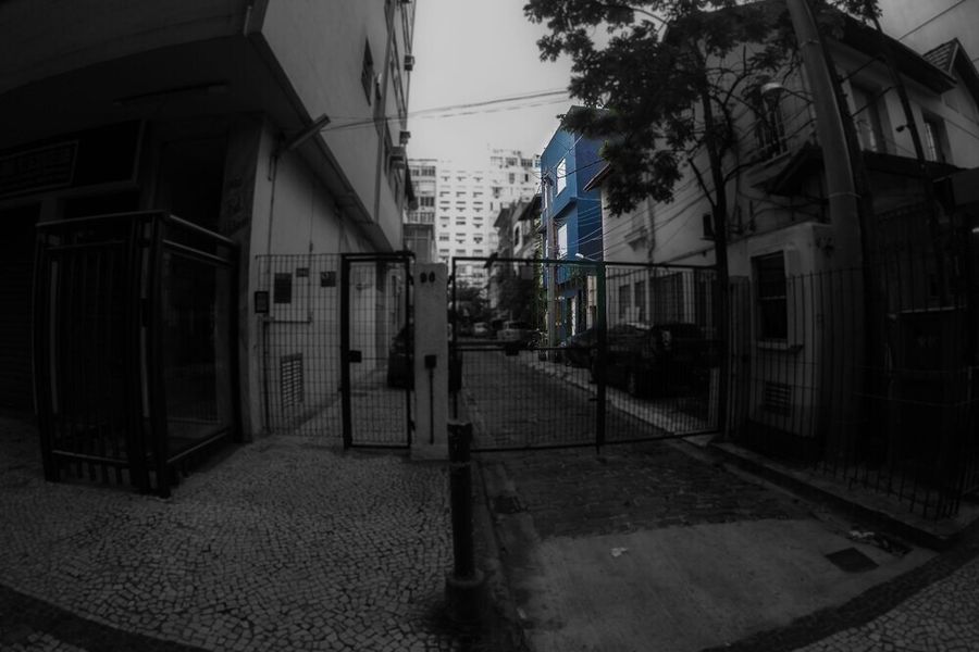 foto-0