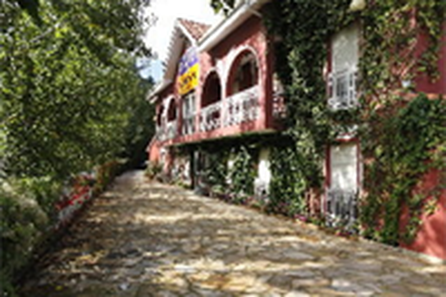 photo-3