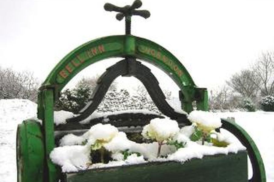 foto-3