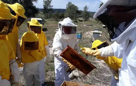 Tour Apiário com Degustação de Mel em Minorca