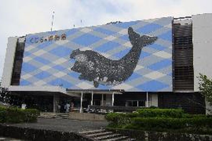 photo-0