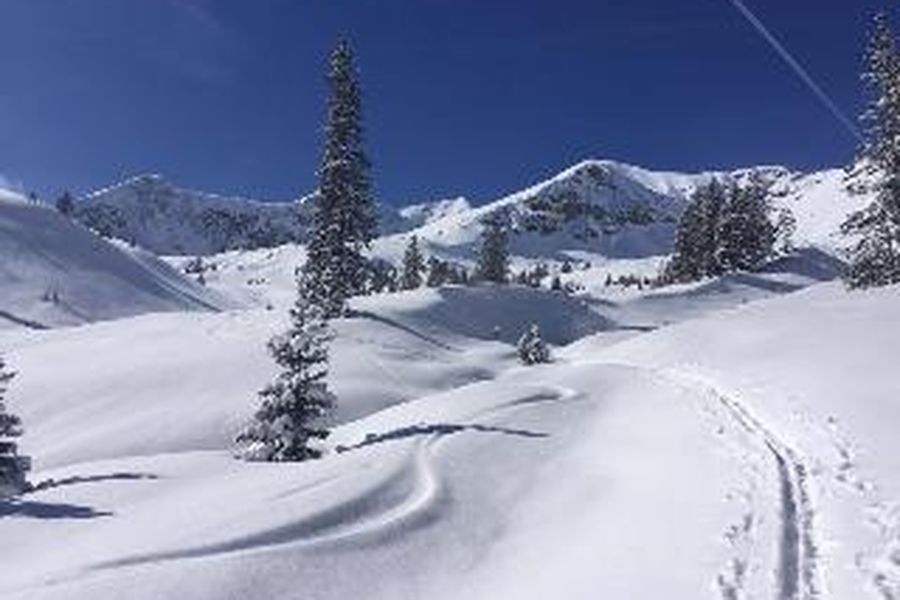 photo-3