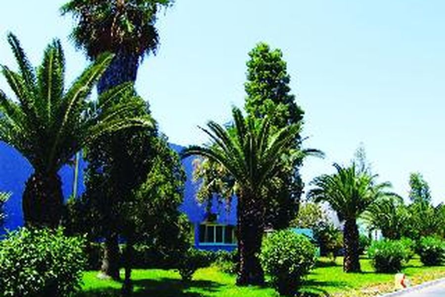 foto-2