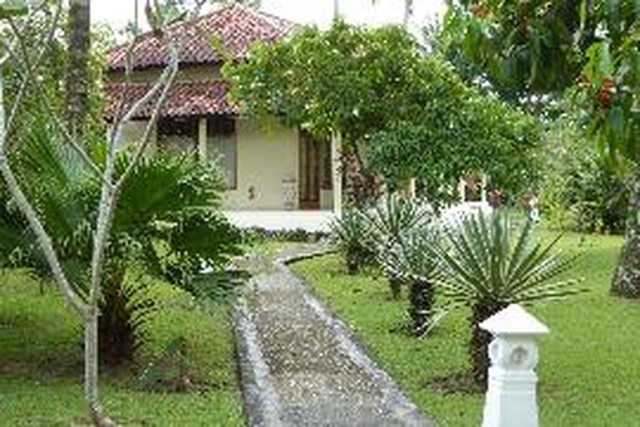foto-1
