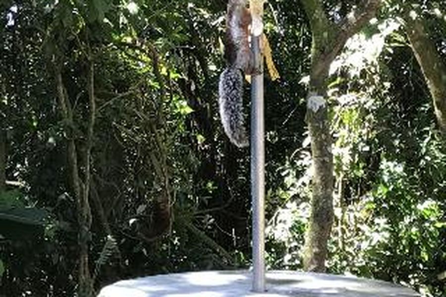 foto-3