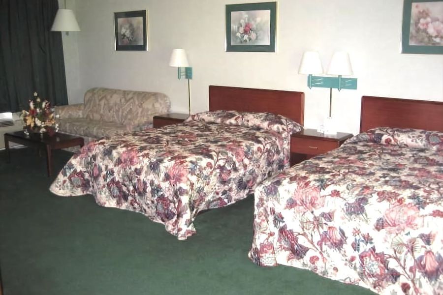 photo-1