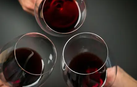 Valpolicella: visita guiada a la bodega + degustación