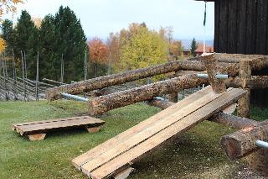 photo-1
