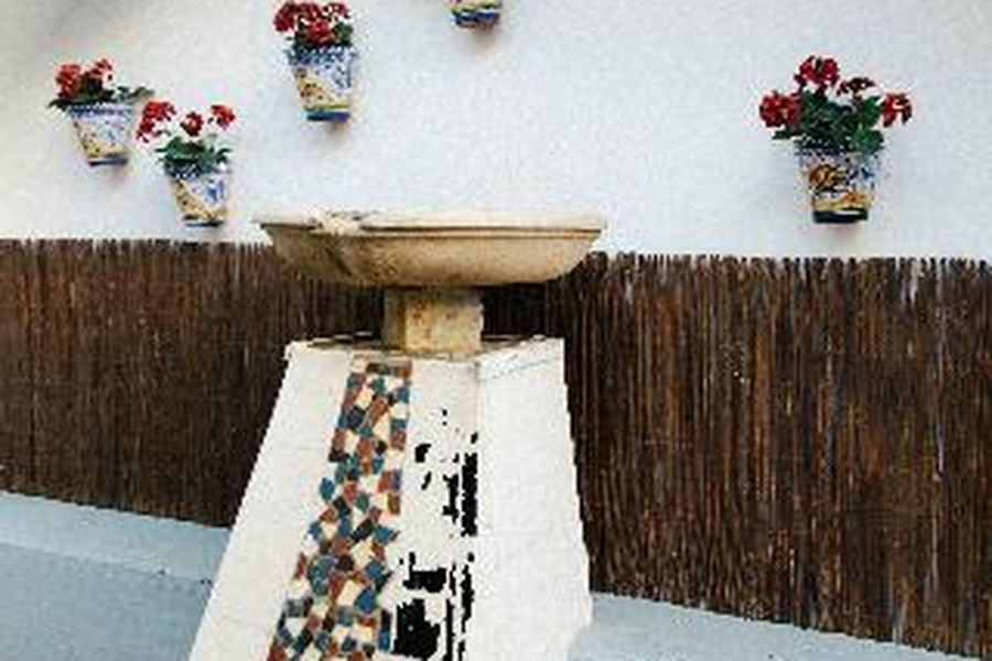 foto-0