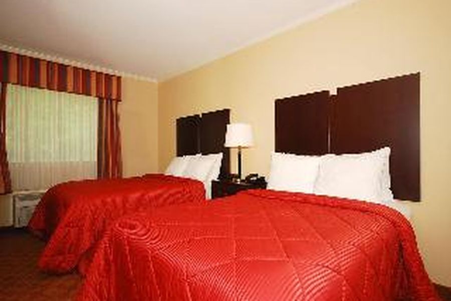 photo-3